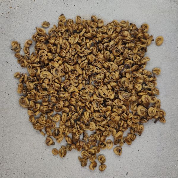 Pure Gold Bi Luo Chun Black Tea of Feng Qing