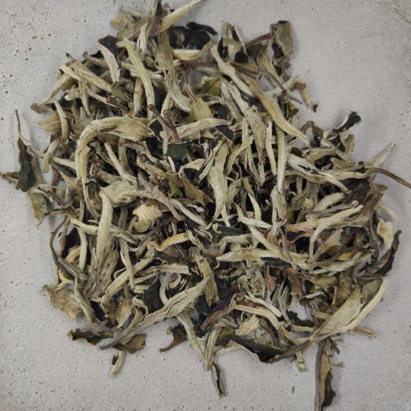 Bai Mu Dan Yang Ta - Jing Gu Yunnan White Tea